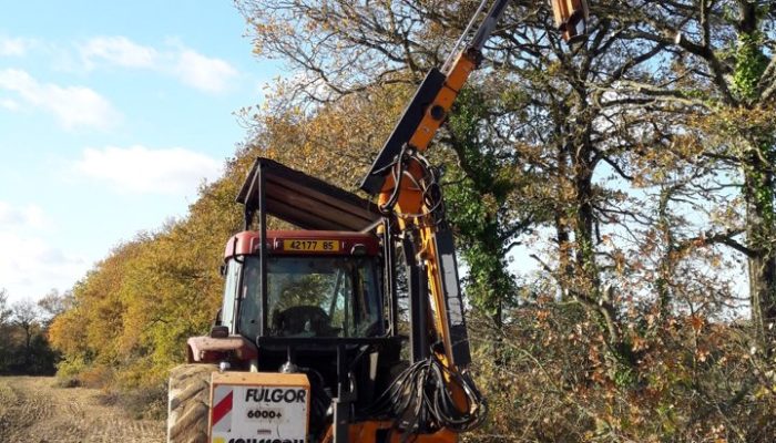 Lamier dans travaux agricoles