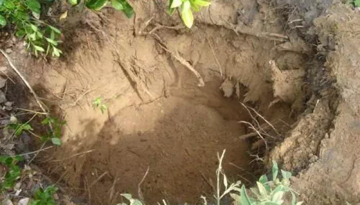 Réalisation d'un forage de puits à Apremont par SARL Renaud
